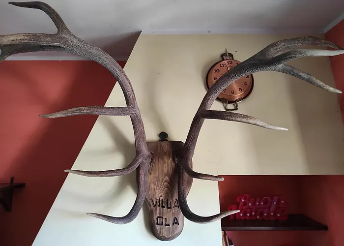 Hébergement de vacances Ola