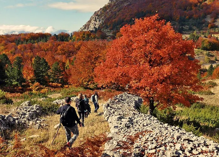 Ola בית נופש בראה