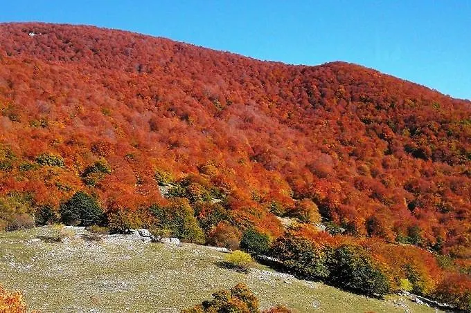 Ola Σπίτι διακοπών